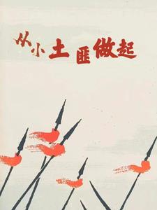 从小土匪做起