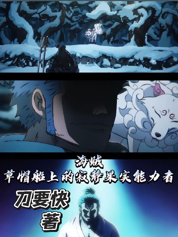 海贼:草帽船上的寂静果实能力者